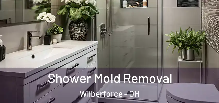 Shower Mold Removal Wilberforce - OH