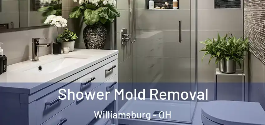  Shower Mold Removal Williamsburg - OH