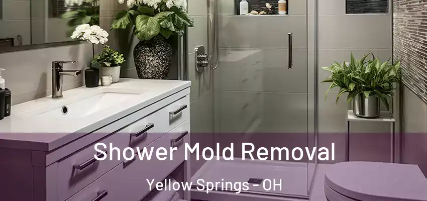Shower Mold Removal Yellow Springs - OH